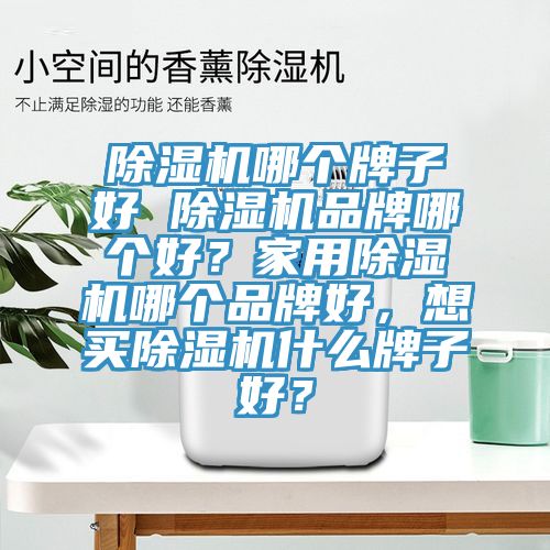 除濕機哪個牌子好 除濕機品牌哪個好?家用除濕機哪個品牌好,想買除濕機什么牌子好?