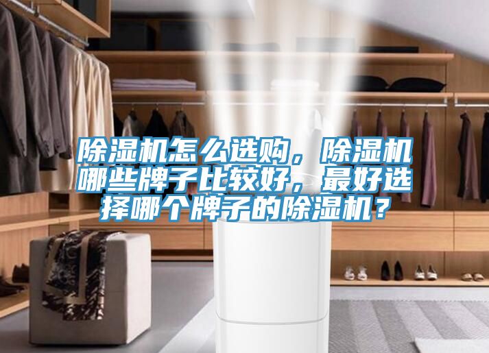 除濕機(jī)怎么選購,除濕機(jī)哪些牌子比較好,最好選擇哪個(gè)牌子的除濕機(jī)?