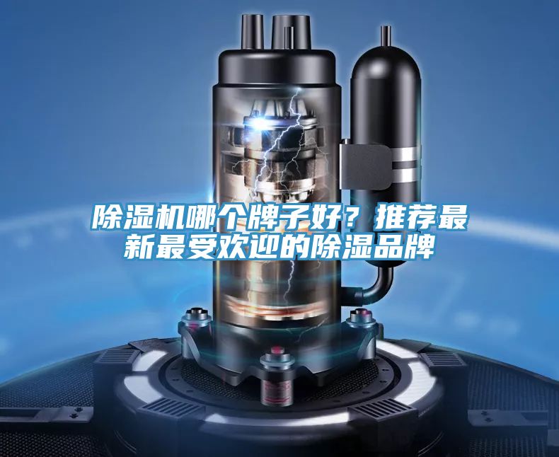 除濕機(jī)哪個(gè)牌子好?推薦最新最受歡迎的除濕品牌