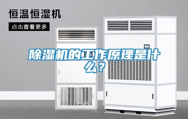 除濕機的工作原理是什么?
