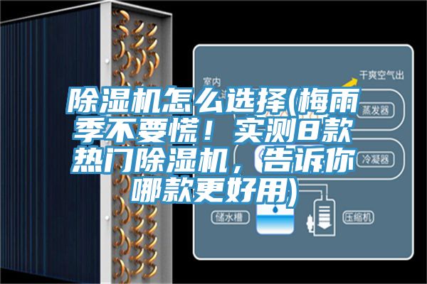 除濕機(jī)怎么選擇(梅雨季不要慌!實(shí)測8款熱門除濕機(jī),告訴你哪款更好用)