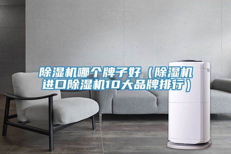 除濕機(jī)哪個(gè)牌子好(除濕機(jī)進(jìn)口除濕機(jī)10大品牌排行)