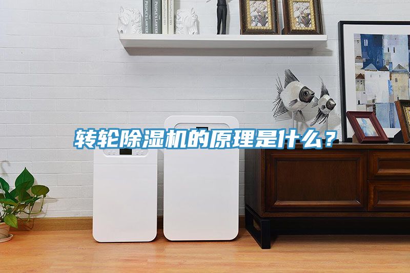 轉(zhuǎn)輪除濕機(jī)的原理是什么?
